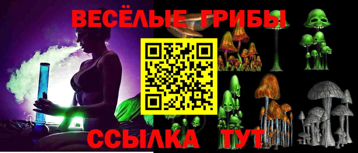 Лесозаводск  Псилоцибиновые грибы прущие грибы  Вход с VPN 