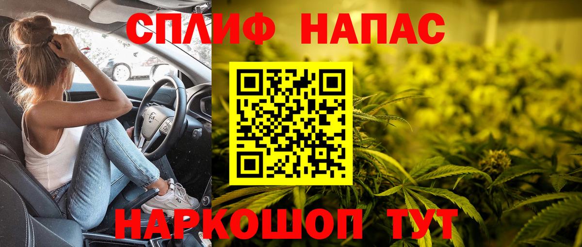 Конопля гибрид Лесозаводск